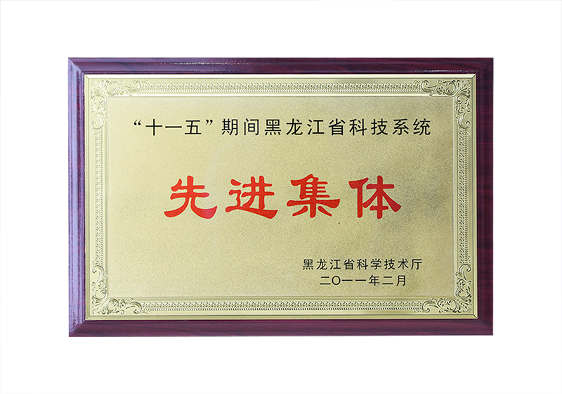 “十一五”期間黑龍江省科技系統(tǒng)——先進(jìn)集體