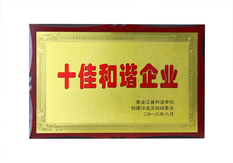十佳和諧企業(yè)——黑龍江省和諧單位創(chuàng)建評(píng)選活動(dòng)組委會(huì)