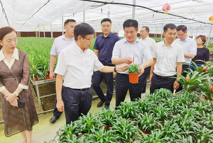 劉明忠一行赴安徽泗縣開展鄉(xiāng)村振興幫扶對(duì)接調(diào)研工作